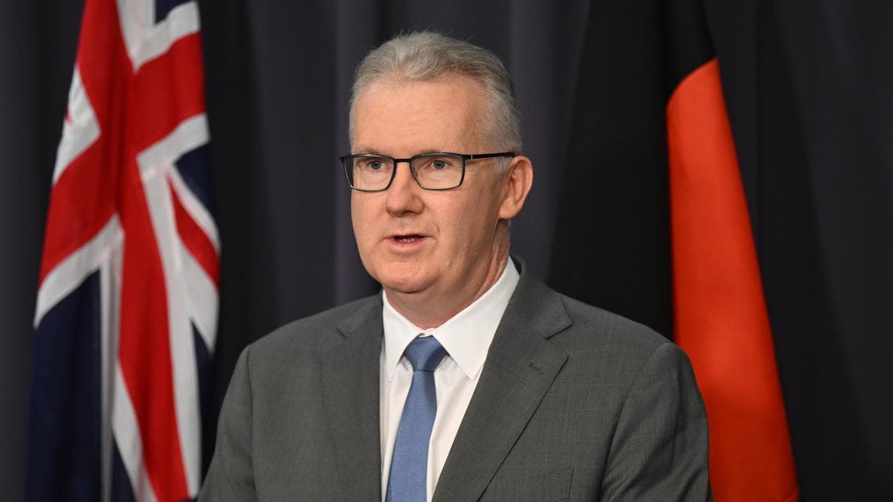 Tony Burke (file)
