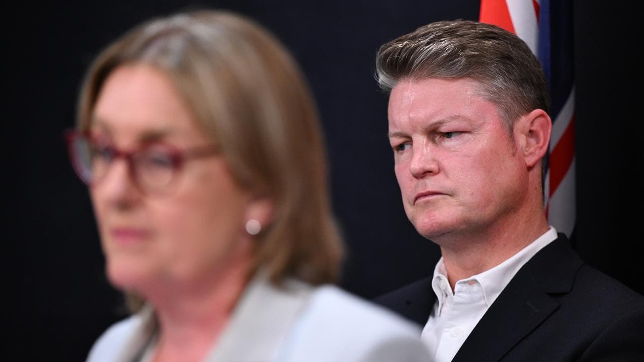 Victorian Deputy Premier Ben Carroll (file image)