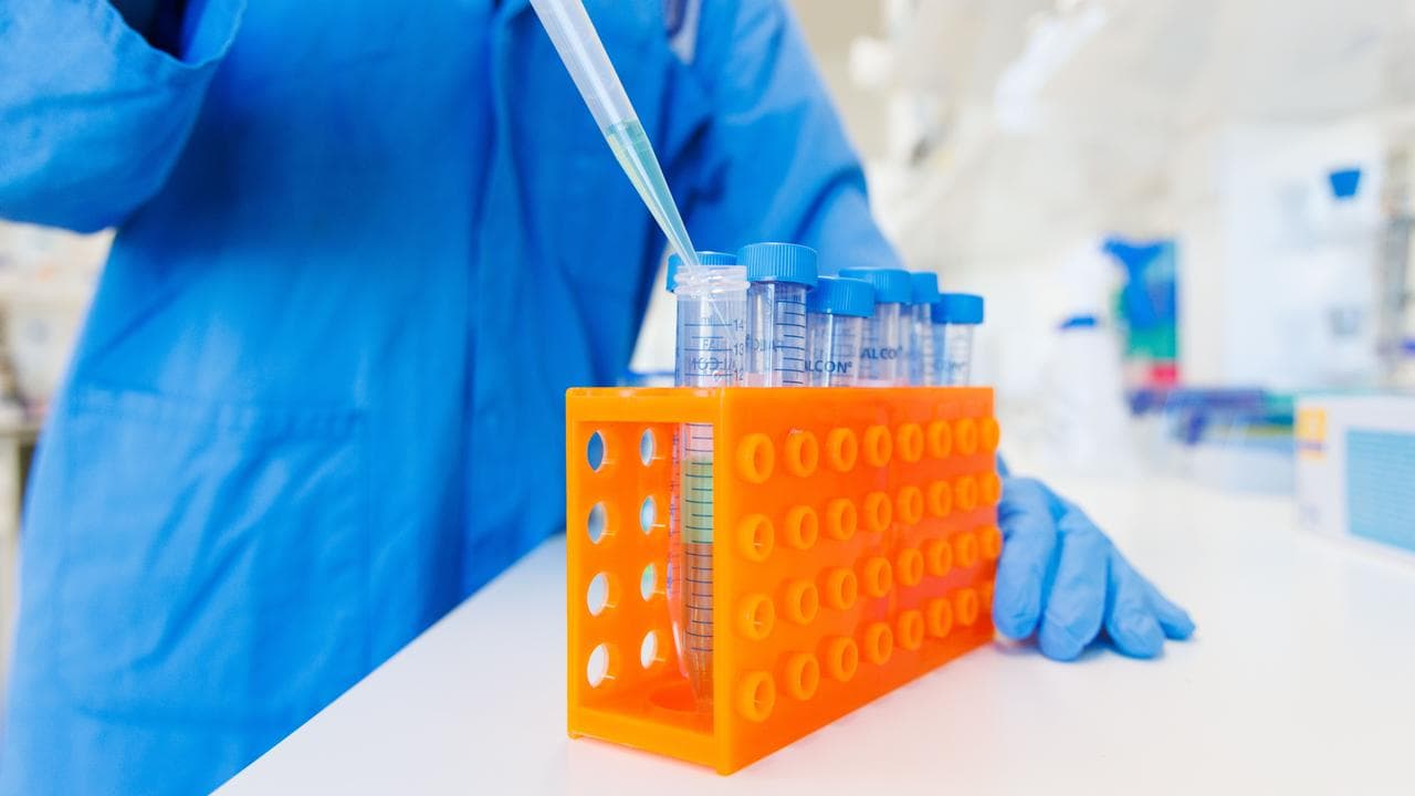 A technician i a lab (file image)