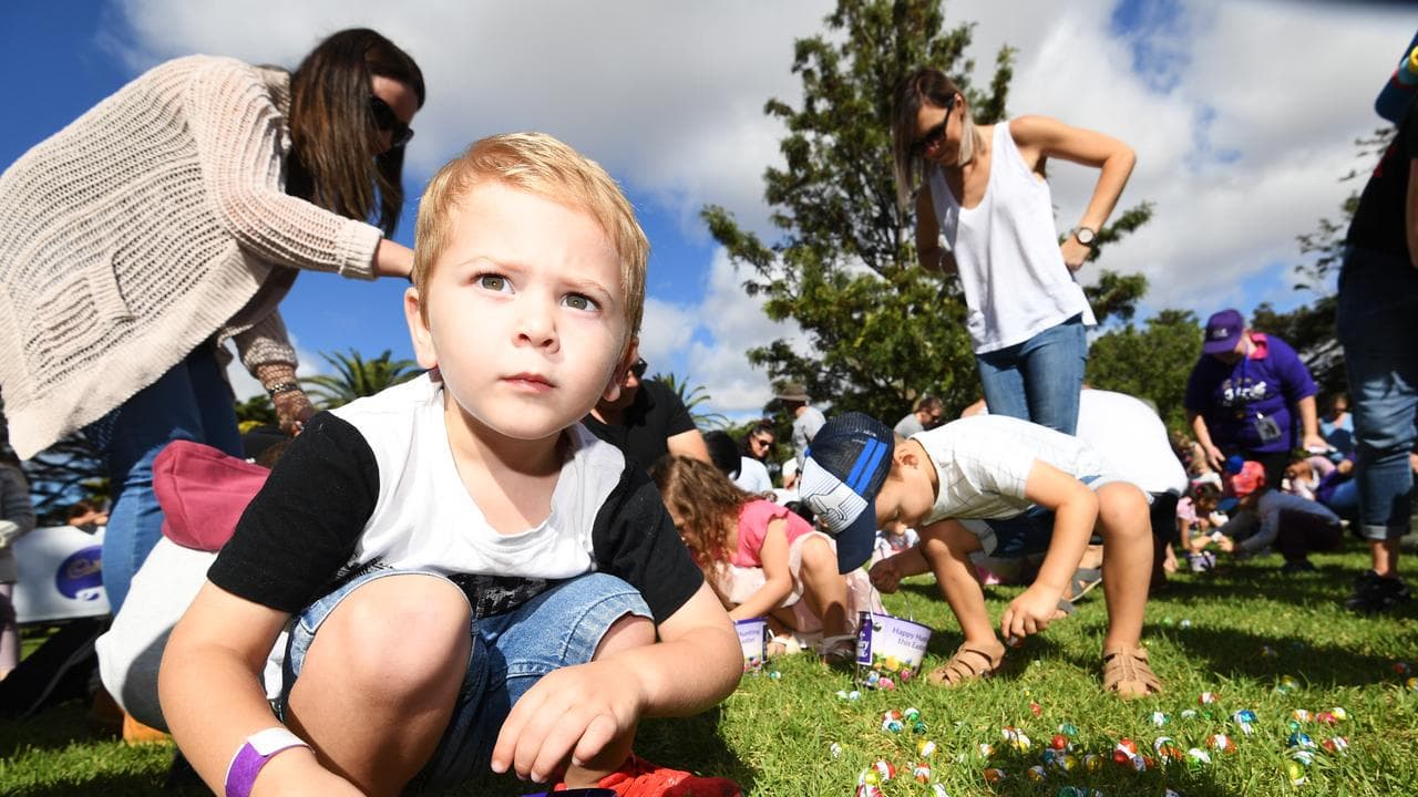 Children collect chocolate eggs