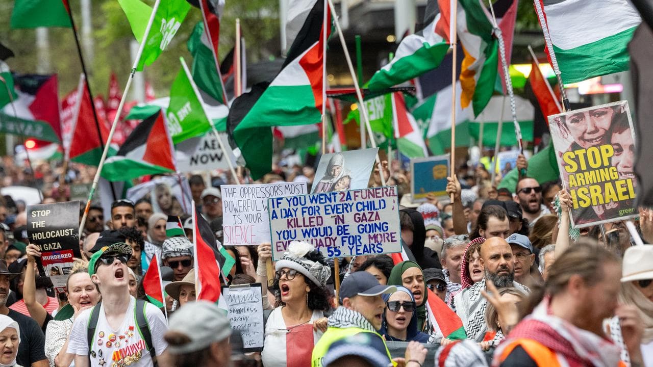 Pro-Palestine protest (file)