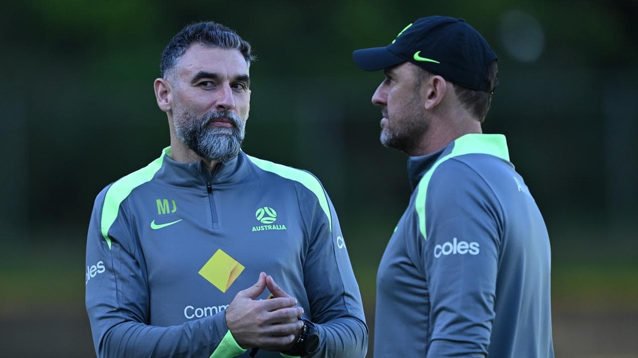 (L-R) Mile Jedinak and Tony Popovic.