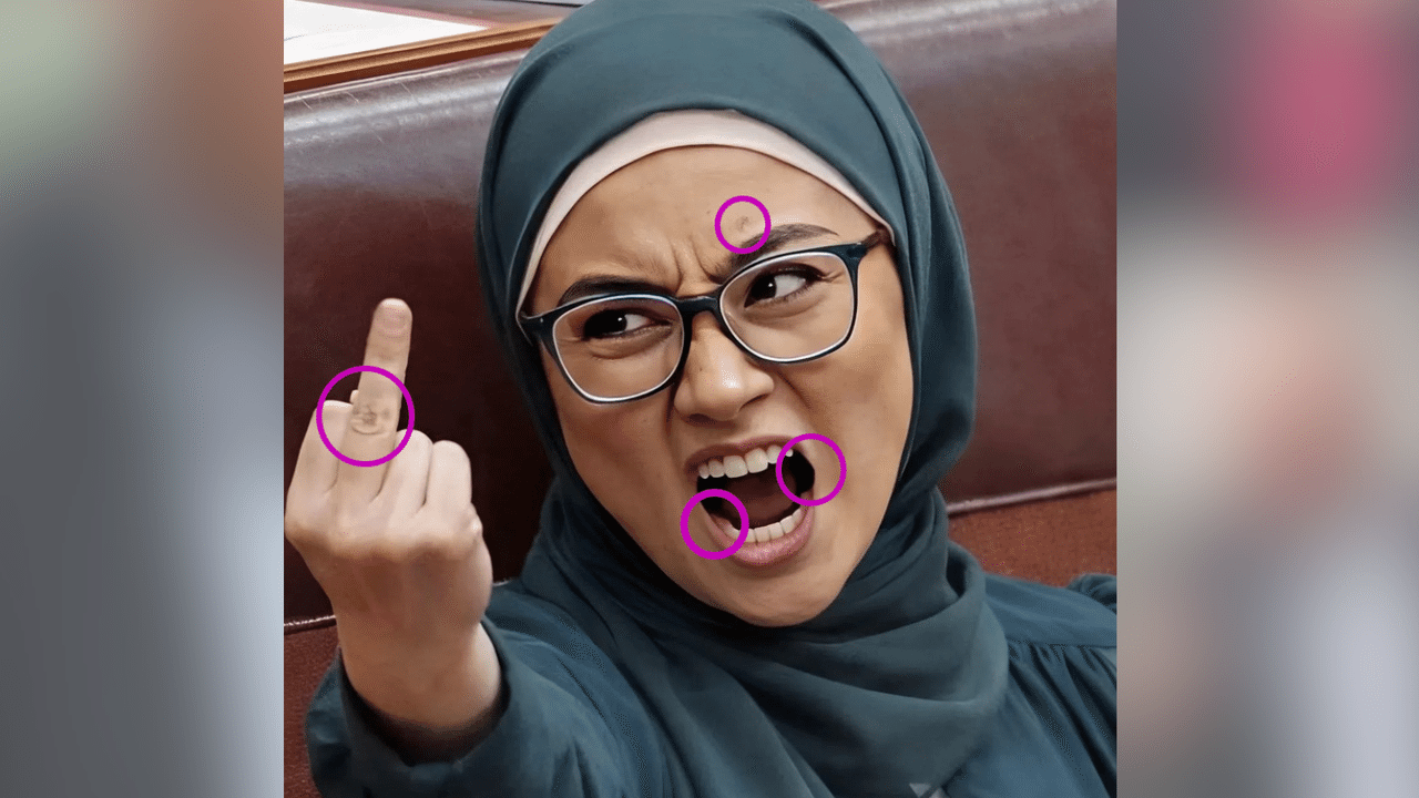 Disinformation spreaders target Fatima Payman