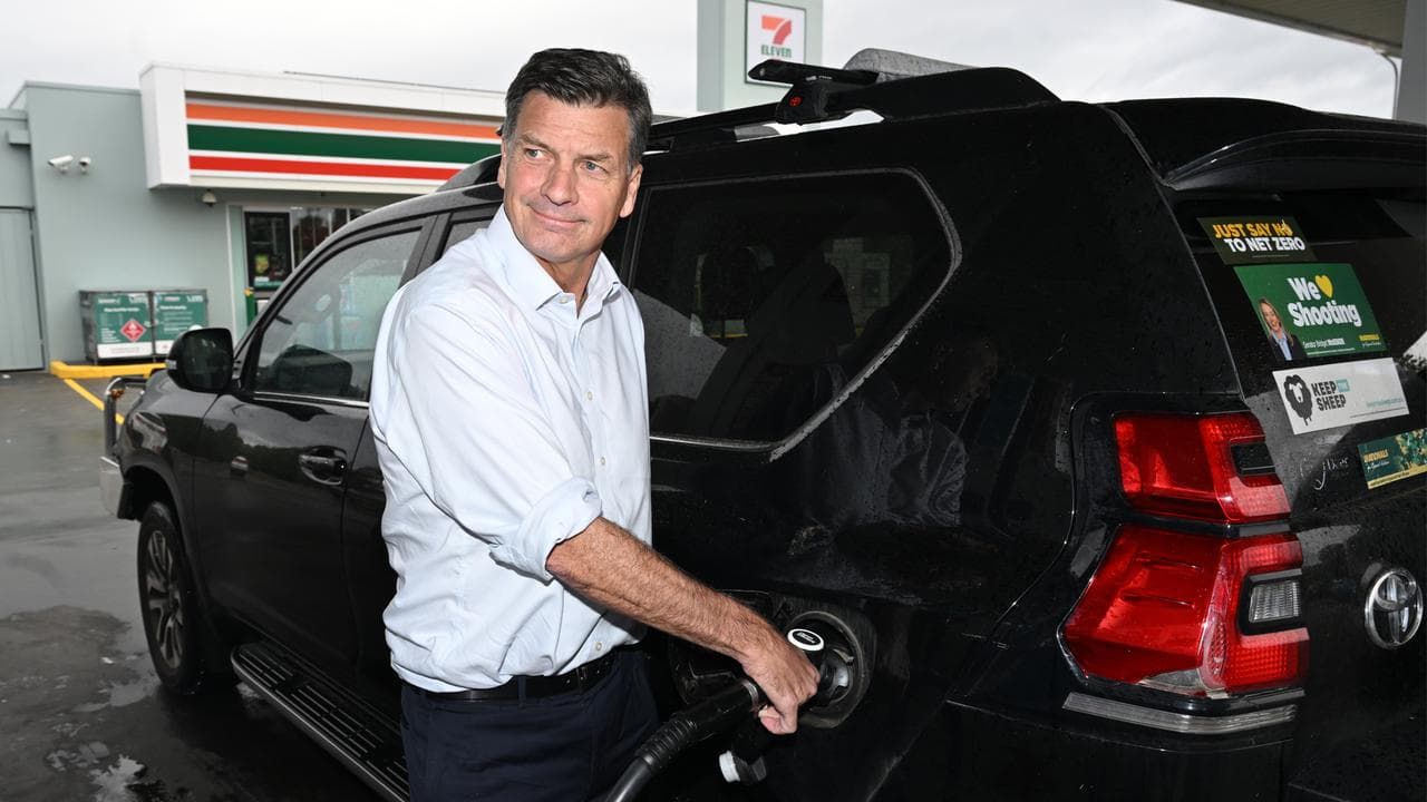 Angus Taylor 