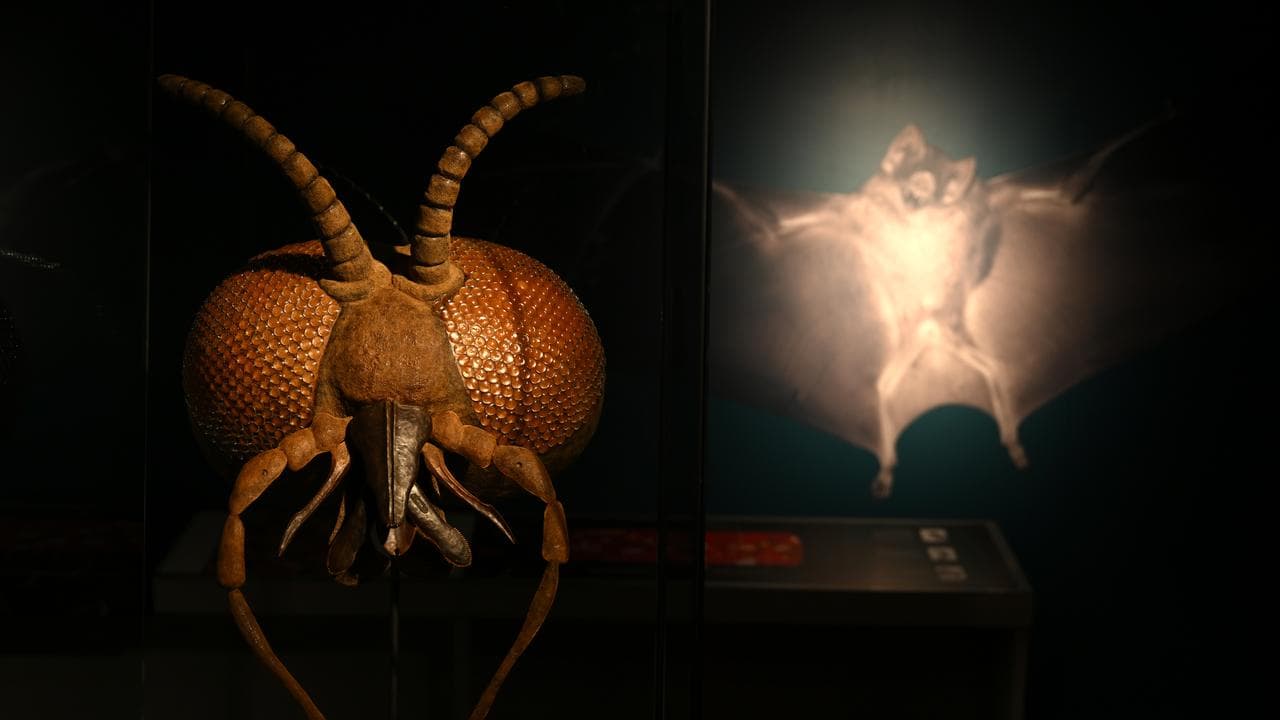 BLOODSUCKERS EXHIBITION