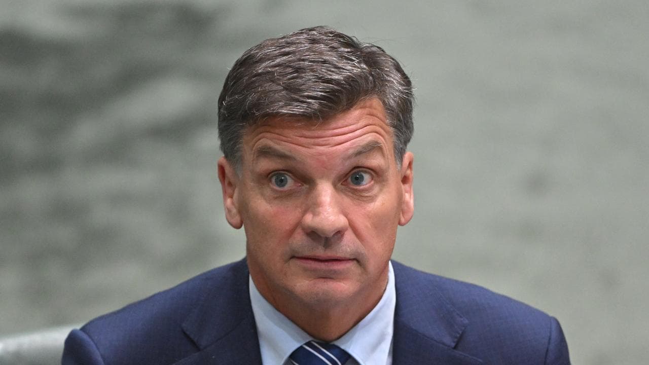 Angus Taylor