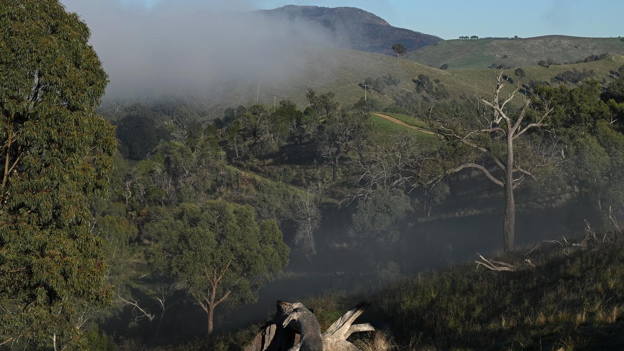 Bushland near Thologolong, Victoria