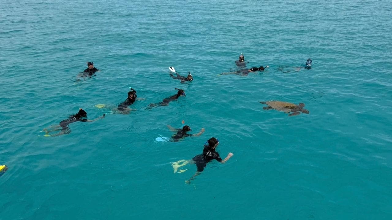 Tourists snorkel on Ningaloo Reef (file image)