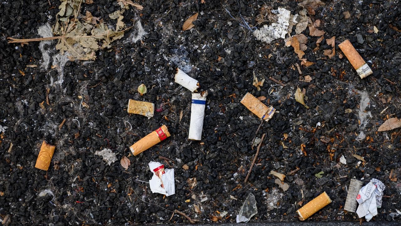 Cigarette butts