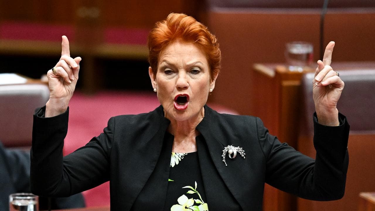 Hanson immigration