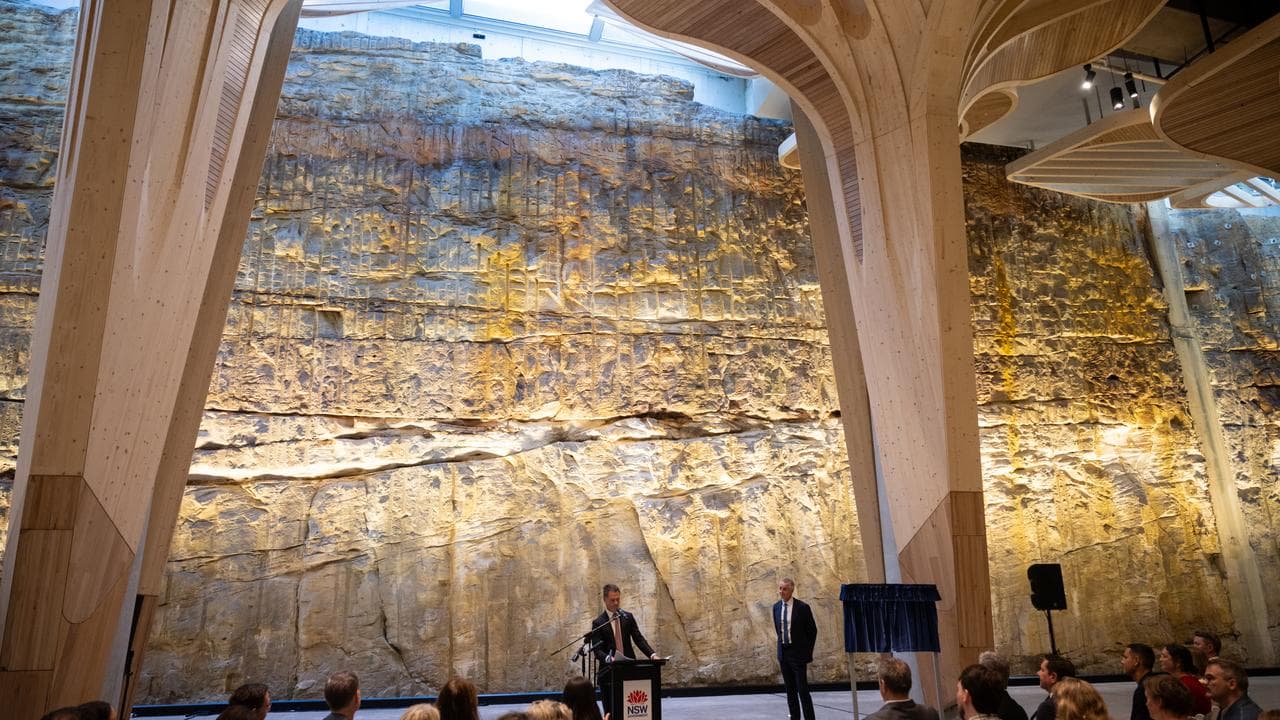 CHRIS MINNS CUTAWAY BARANGAROO OPENING