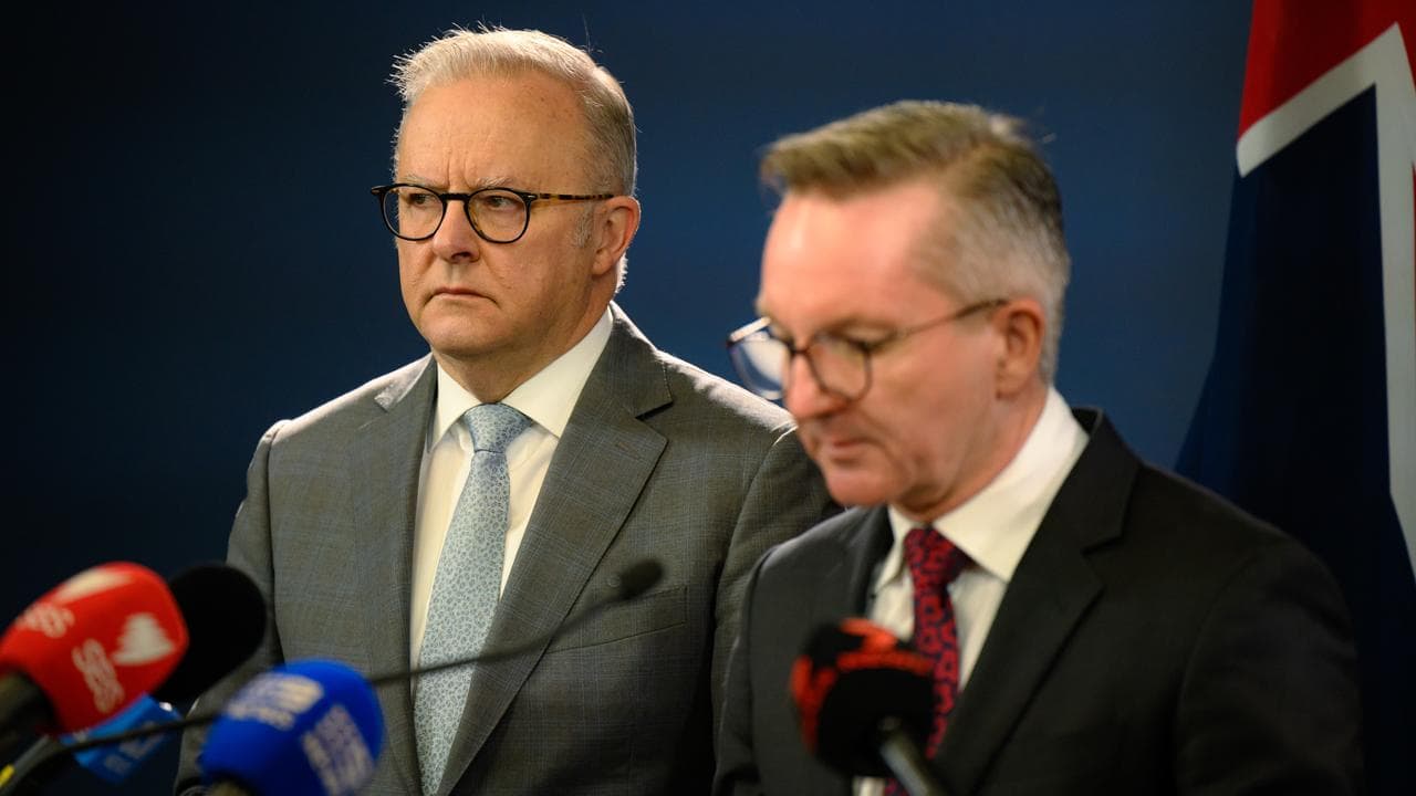 Anthony Albanese and Chris Bowen