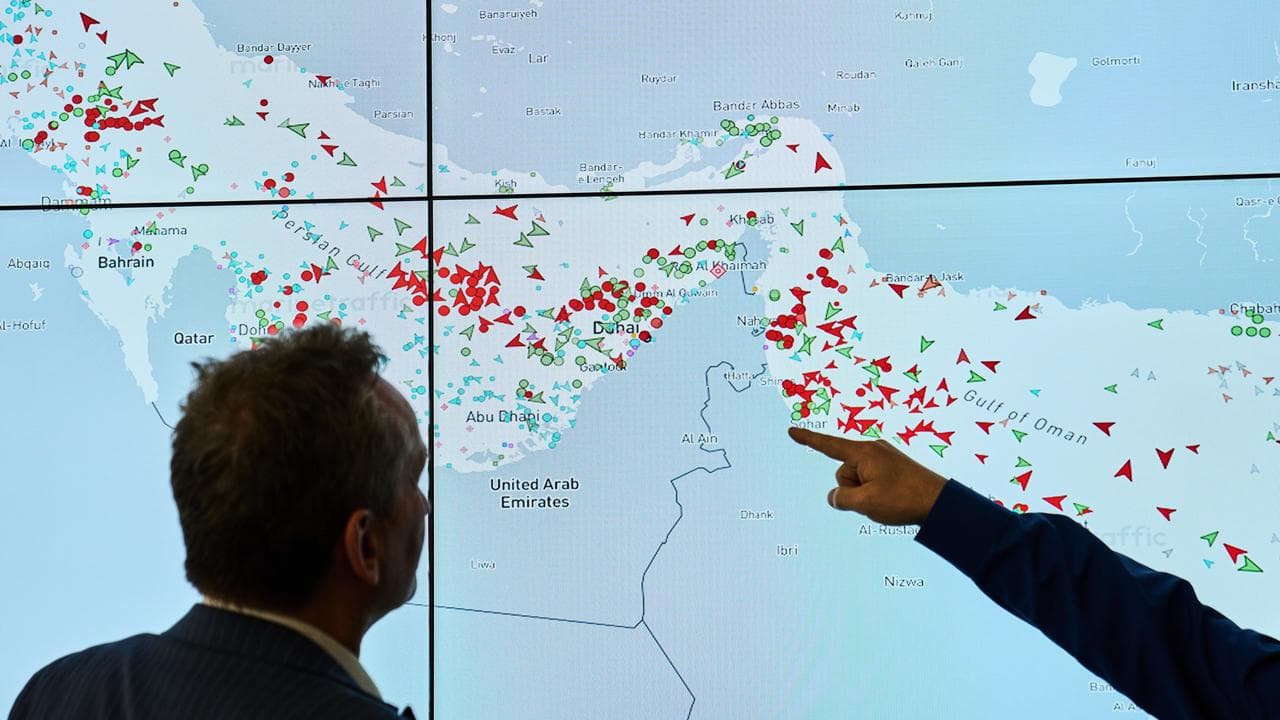 The Strait of Hormuz on a screen (file image)
