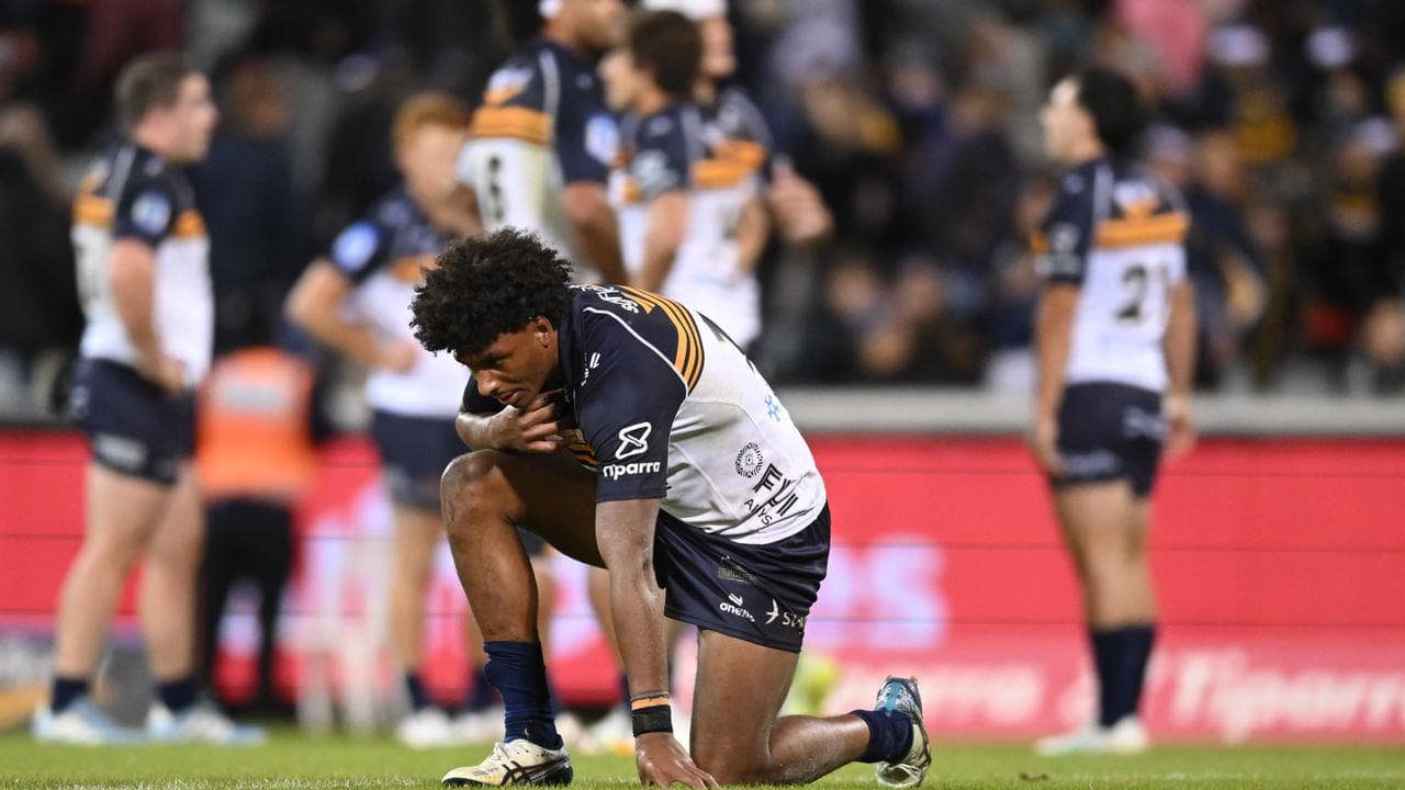 Brumbies.