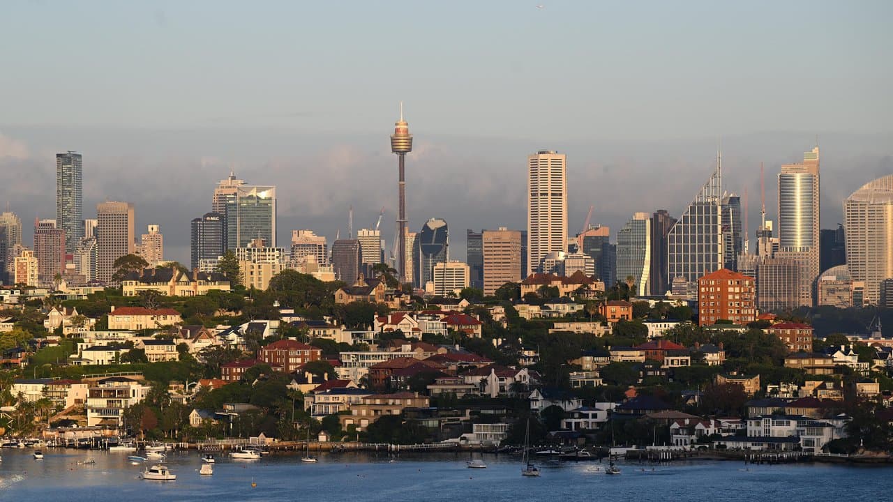 Sydney skyline and Rose Bay