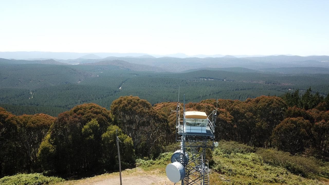 AI cameras have been installed in many forestry areas