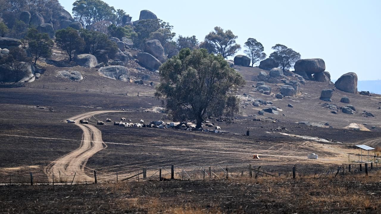 VICTORIA BUSHFIRES