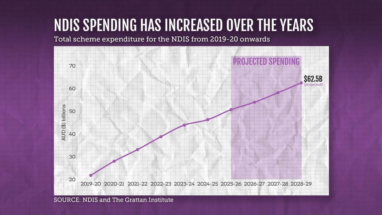 NDIS spending graph