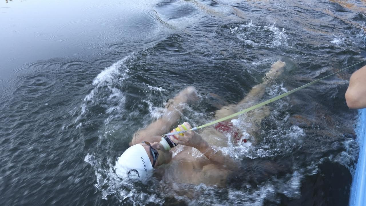 swim