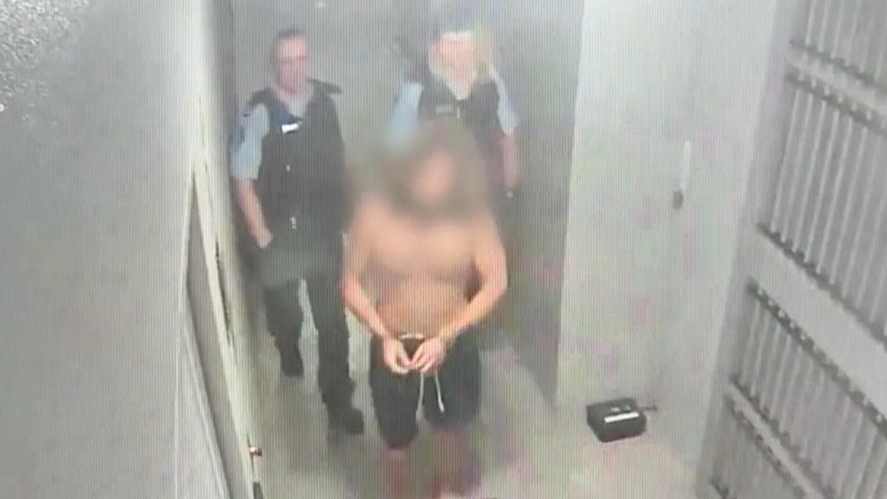 Zayne McMillan after being arrested (file image)