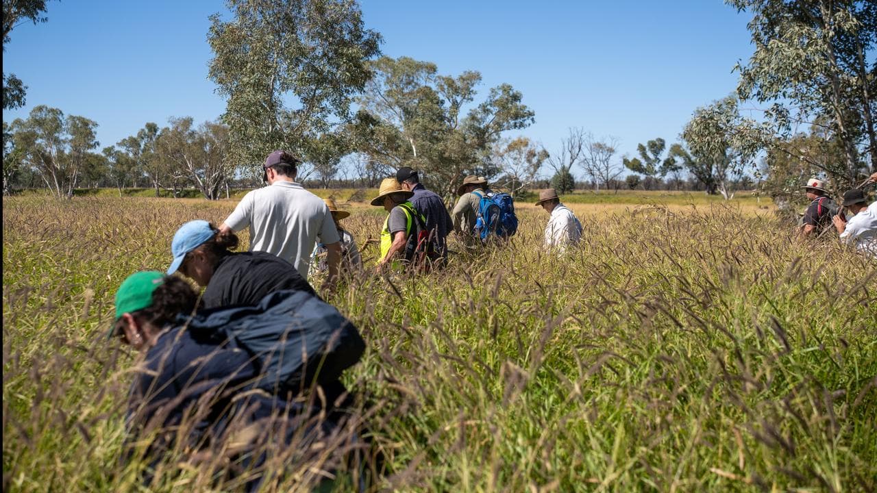 Volunteers and emergency services have joined forces to find Sharon.