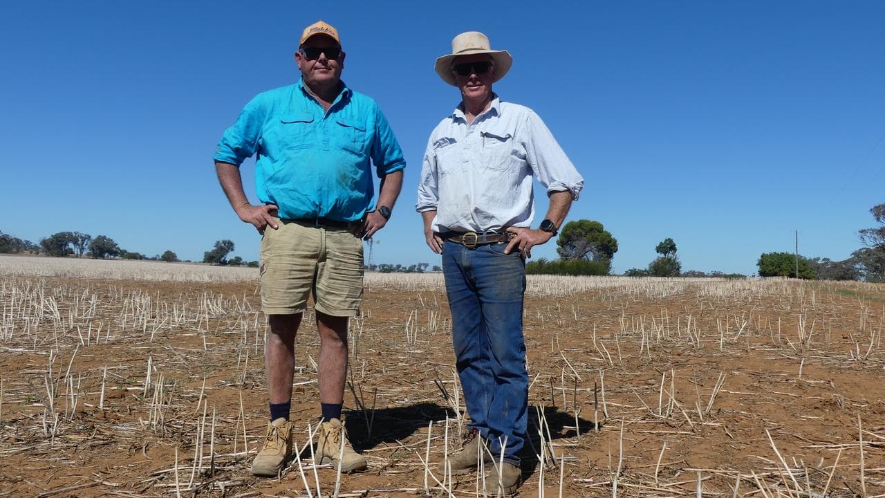 Mark and Dave Weston in a dry paddock