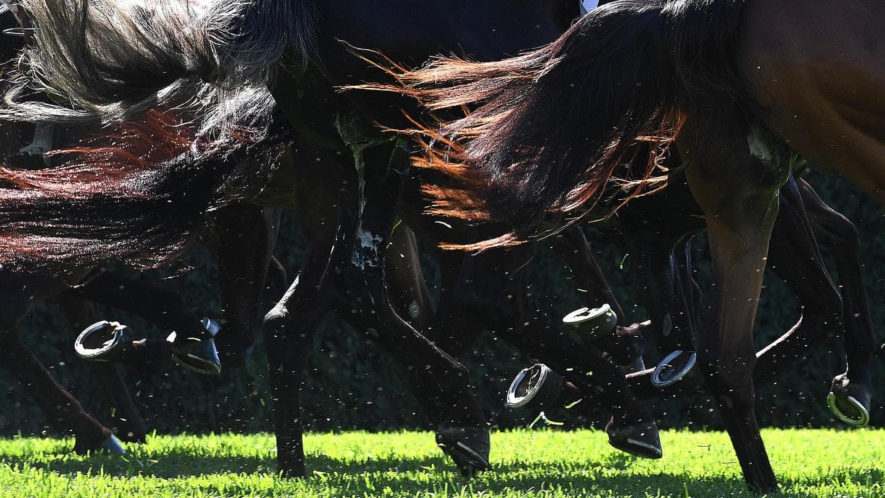Horse race