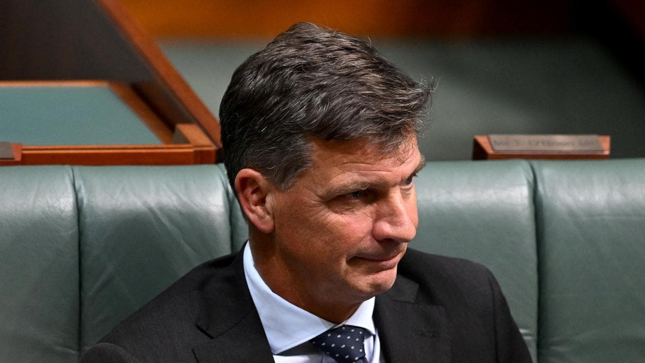 Angus Taylor in the House of Representatives at Parliament House.