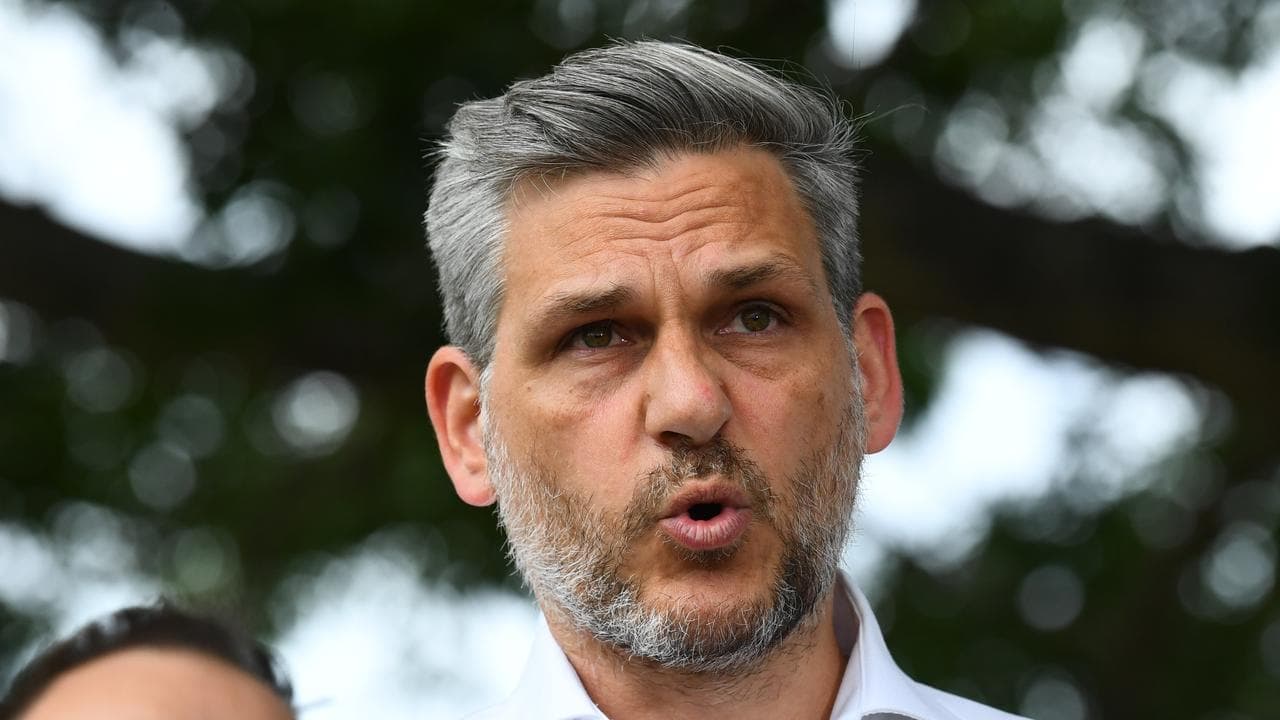 Queensland Greens MP for Maiwar Michael Berkman