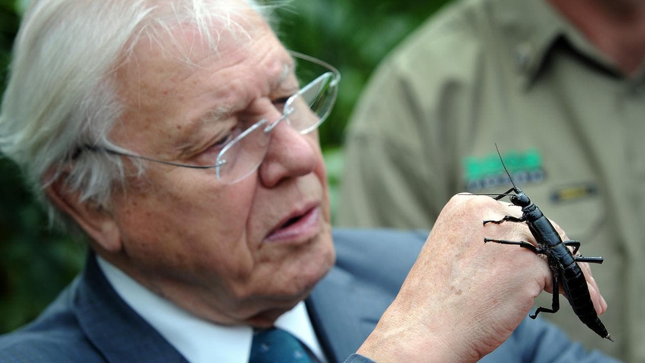Sir David Attenborough