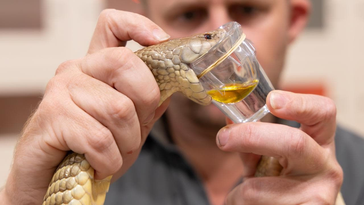 Sir David Attenborough slavi 100. rođendan: Koncert u Londonu i australski događaji — image 4