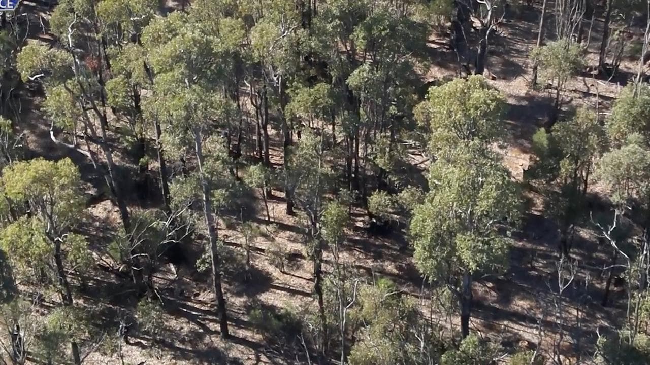 dense vegetation and rough terrain in WA bushland