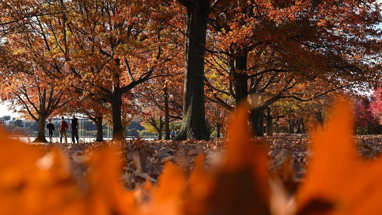 People walk along the foreshore at Lake Burley-Griffin in Canberra
