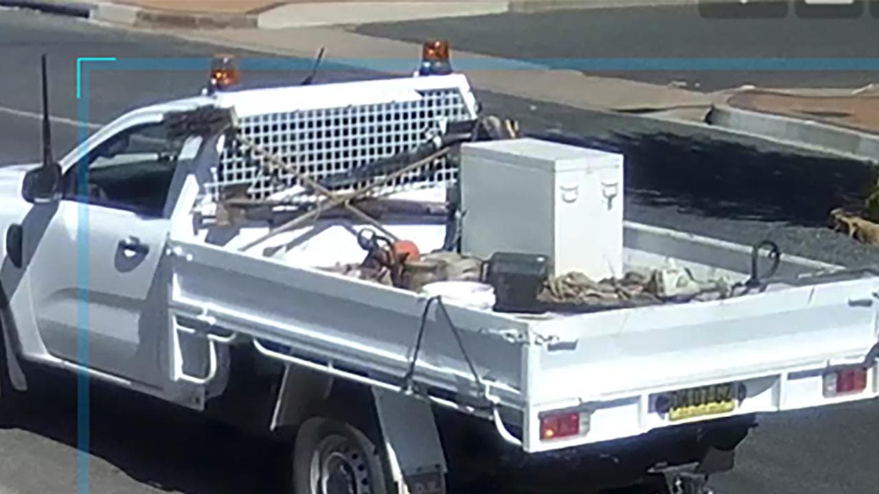 White ute
