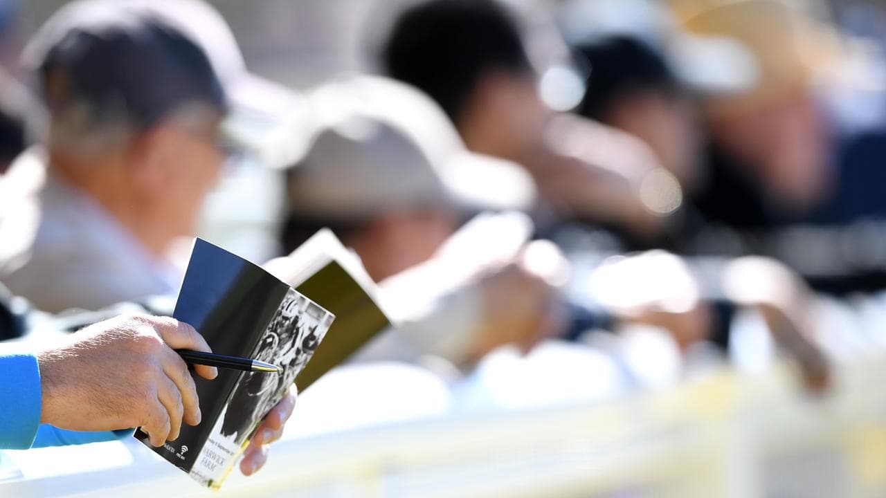 People at the races