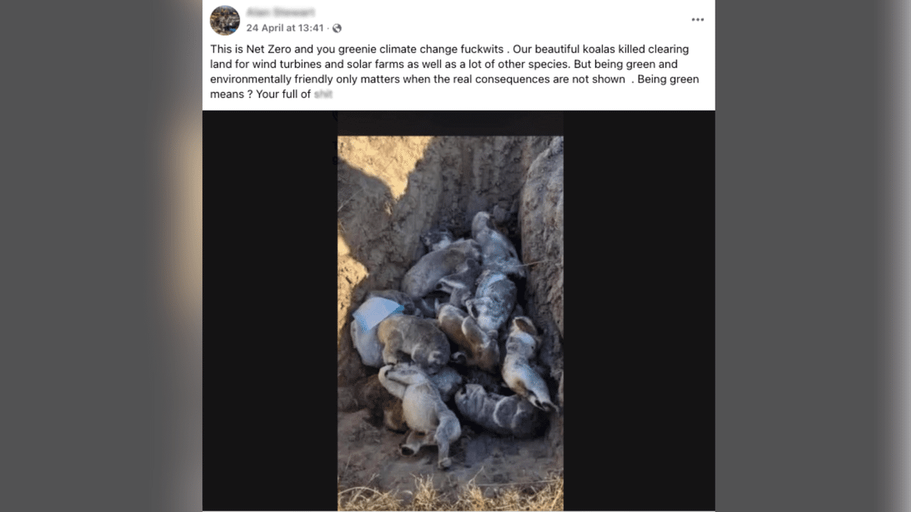 Screenshot of a Facebook post showing koalas in a grave