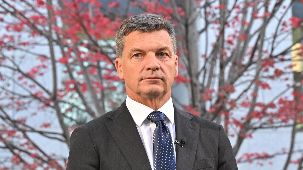 Opposition Leader Angus Taylor