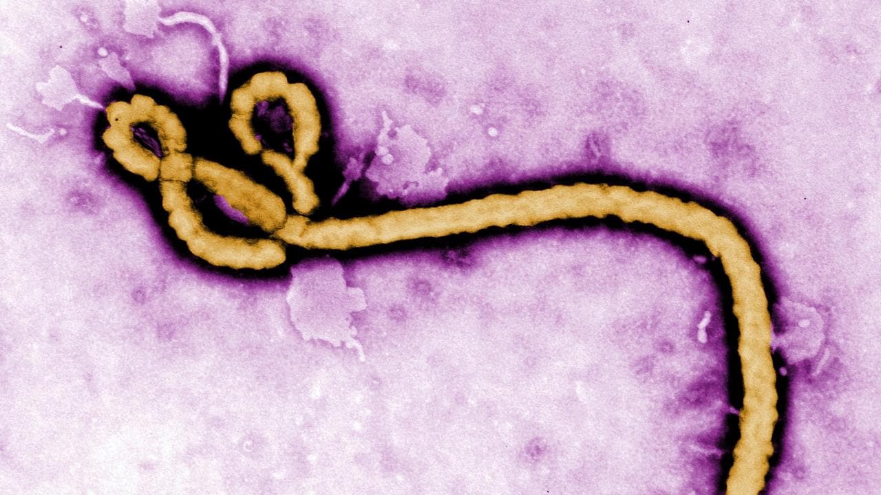 Congo Ebola