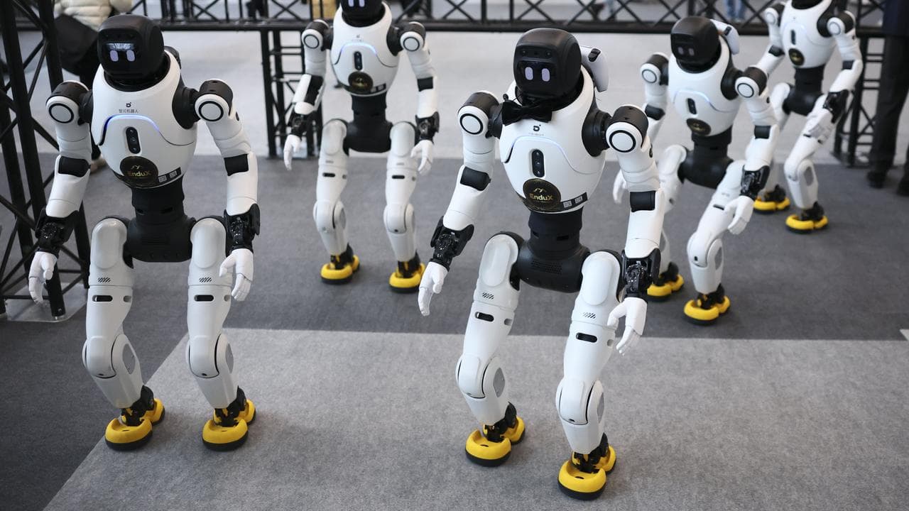 Humanoid robots