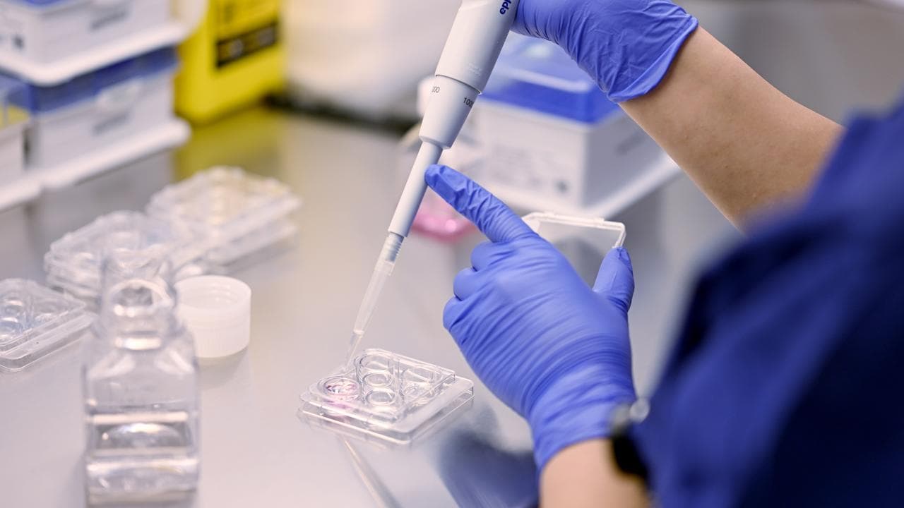 An IVF lab technician (file image)