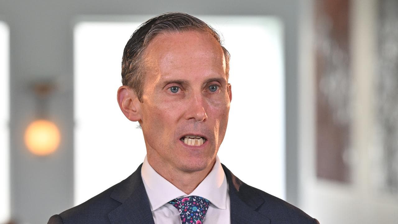 Andrew Leigh (file image)