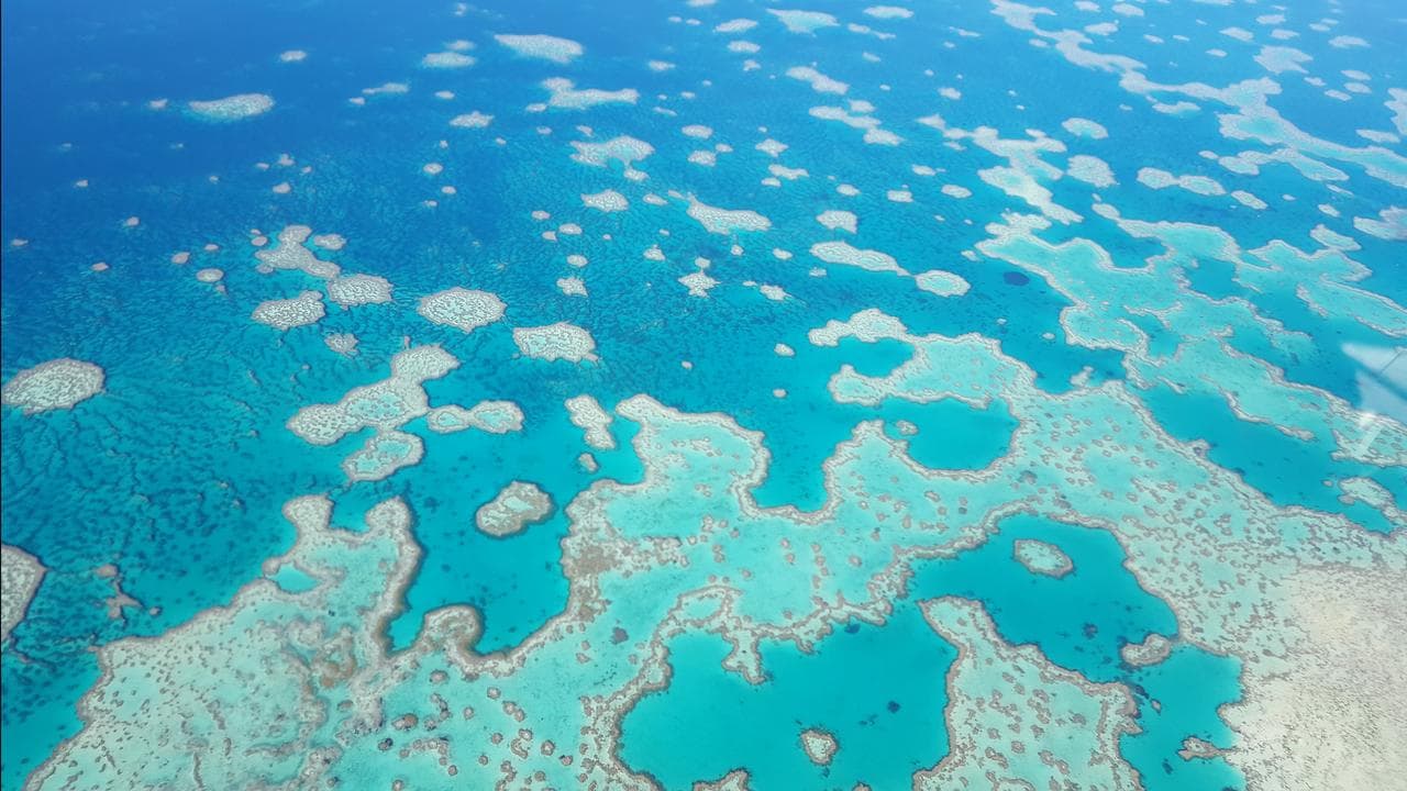 The Great Barrier Reef