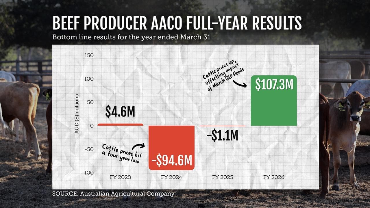 A graphic showing AACo's results