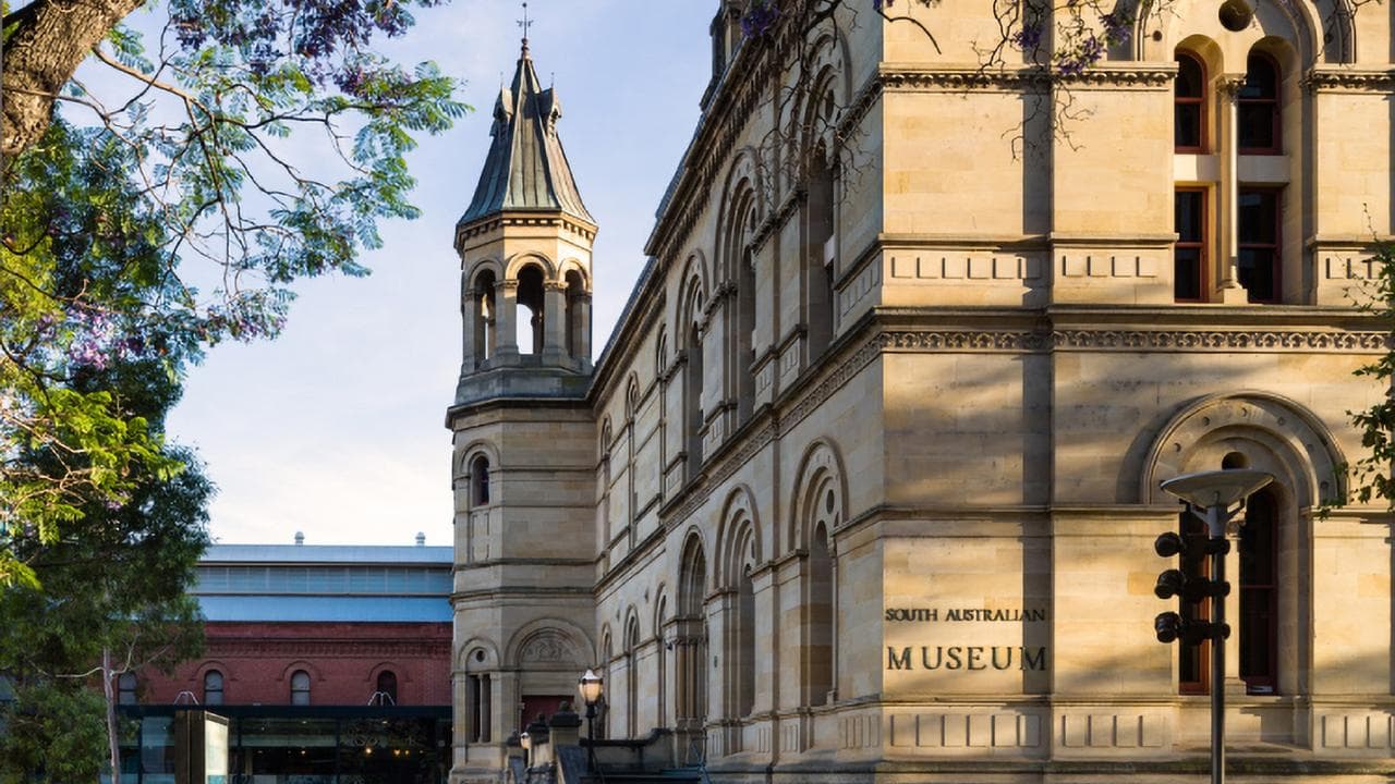 The South Australian Museum