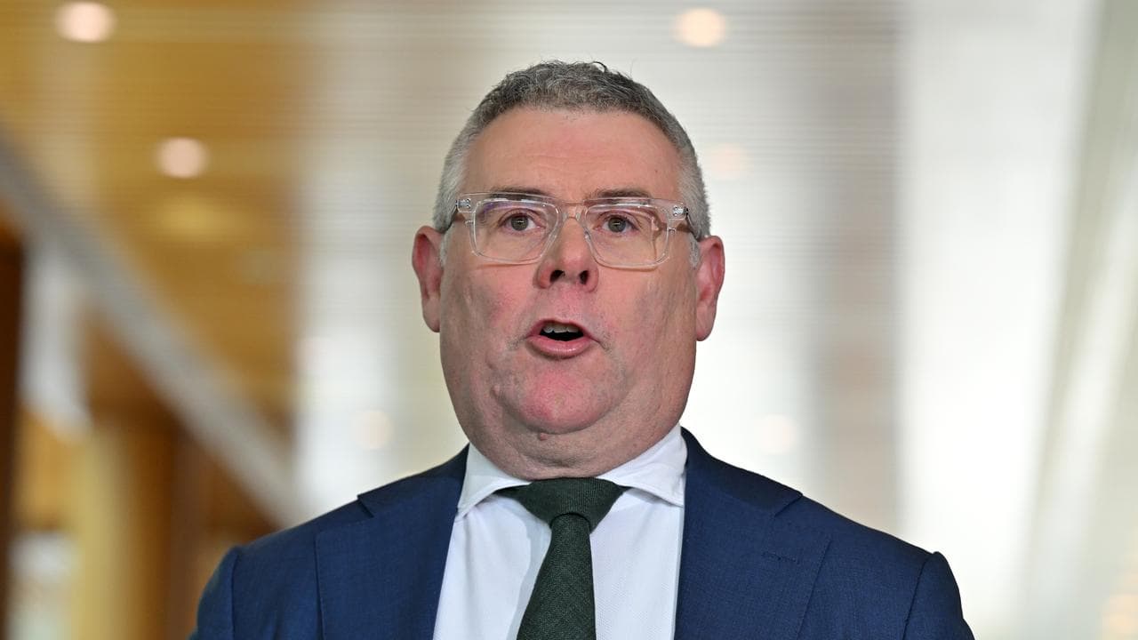 Environment Minister Murray Watt (file image)