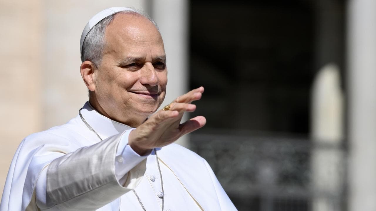 Pope Leo XIV (file image)