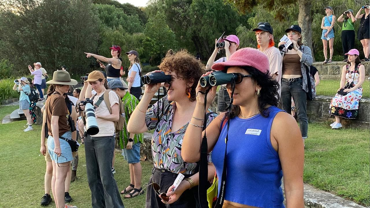 Sydney Bird Club