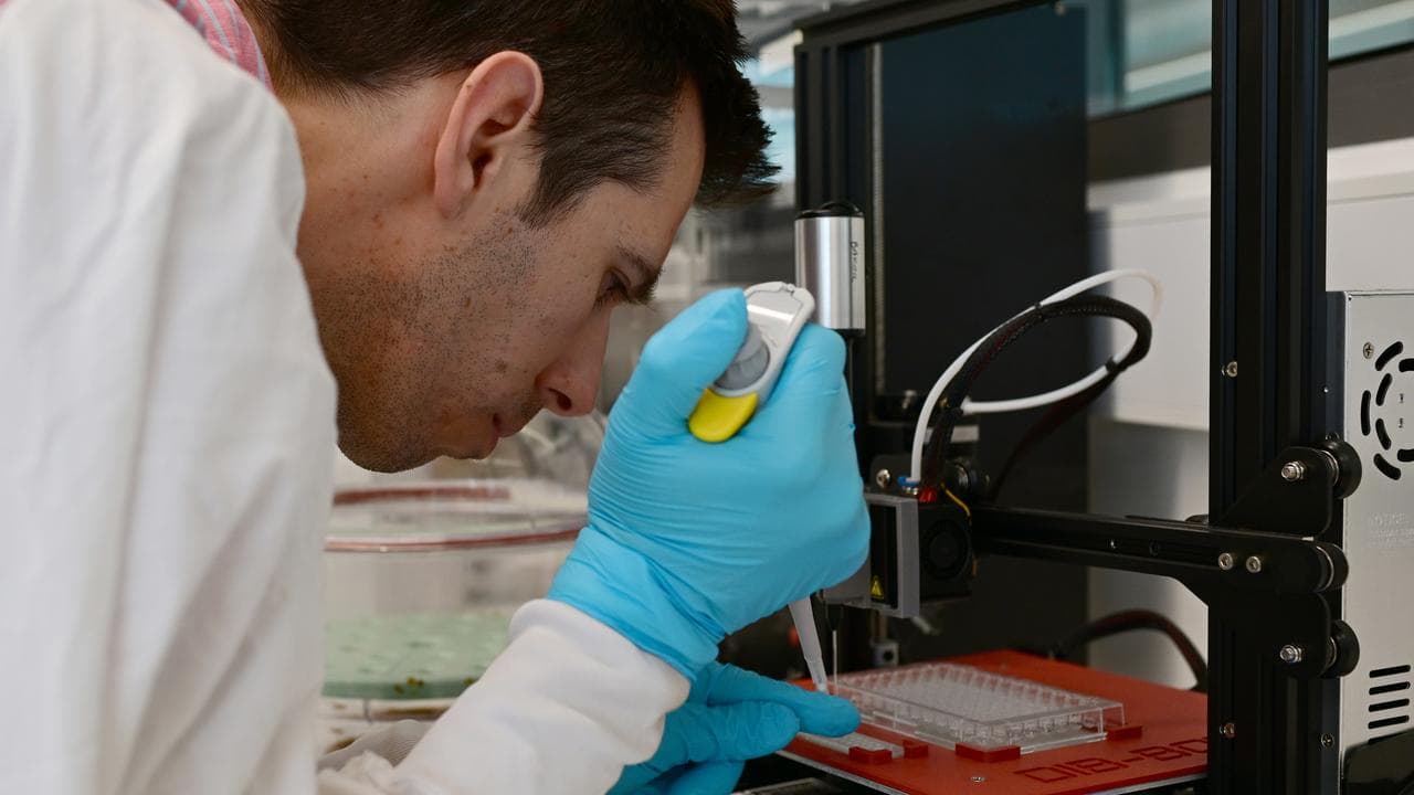 MND research (fle)