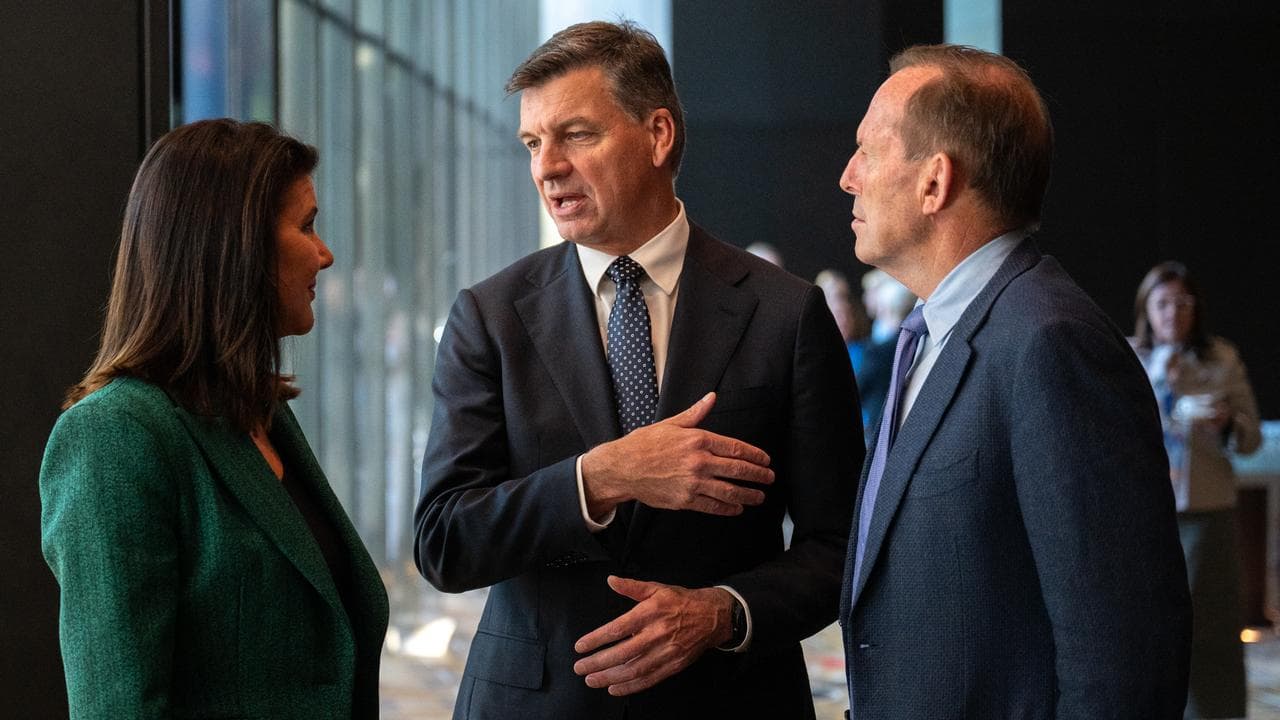 Liberal federal council
