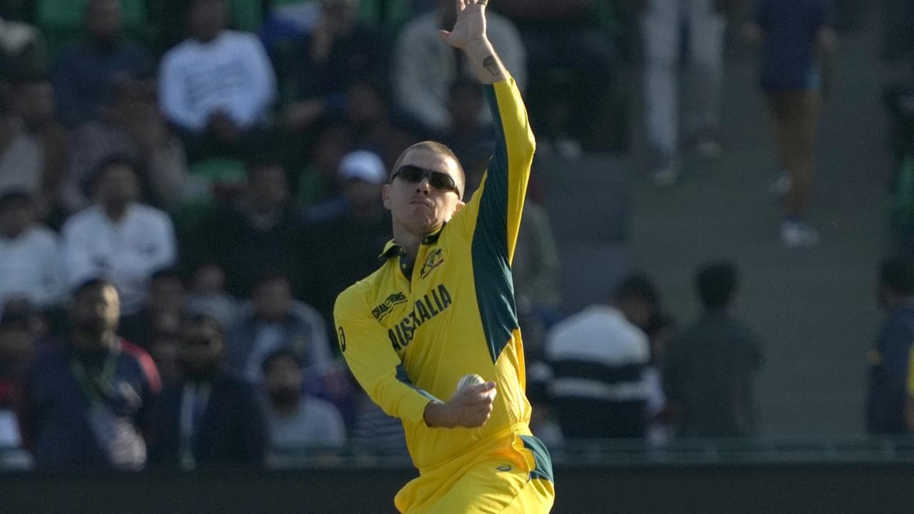 Zampa.
